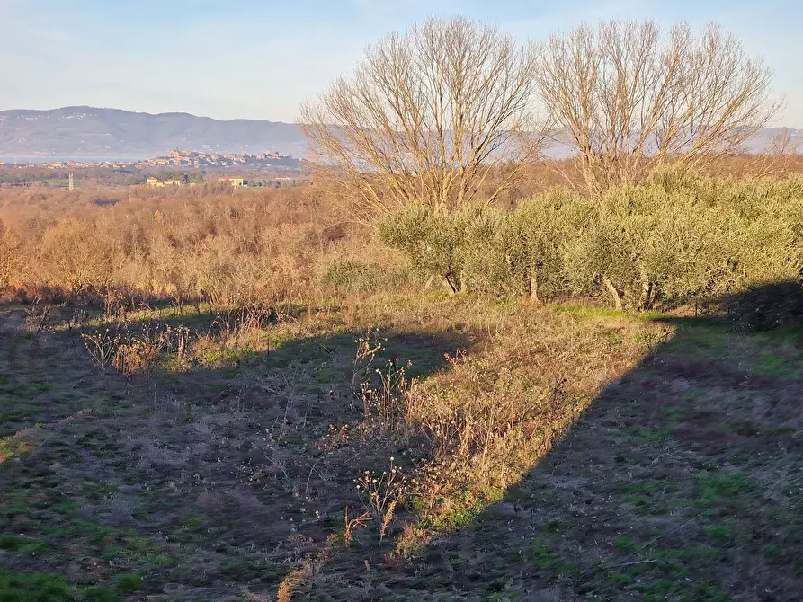 Immagine 46 di Casa bifamiliare in vendita  in Via San Biagio a Castiglione Del Lago