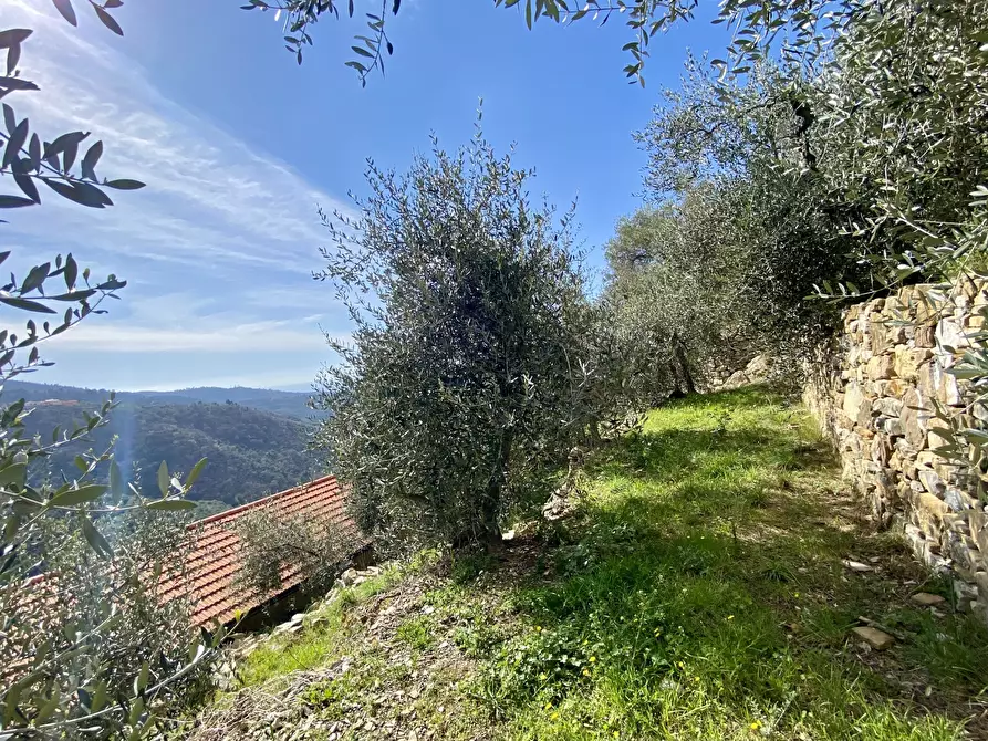 Immagine 15 di Villa in vendita  in Via F. Cascione 31 a Villa Faraldi