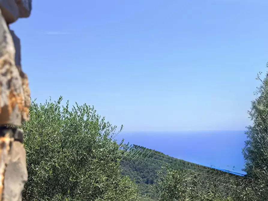 Immagine 17 di Villa in vendita  in Strada Interpoderale Moltedo - Ciai 13 a Diano San Pietro
