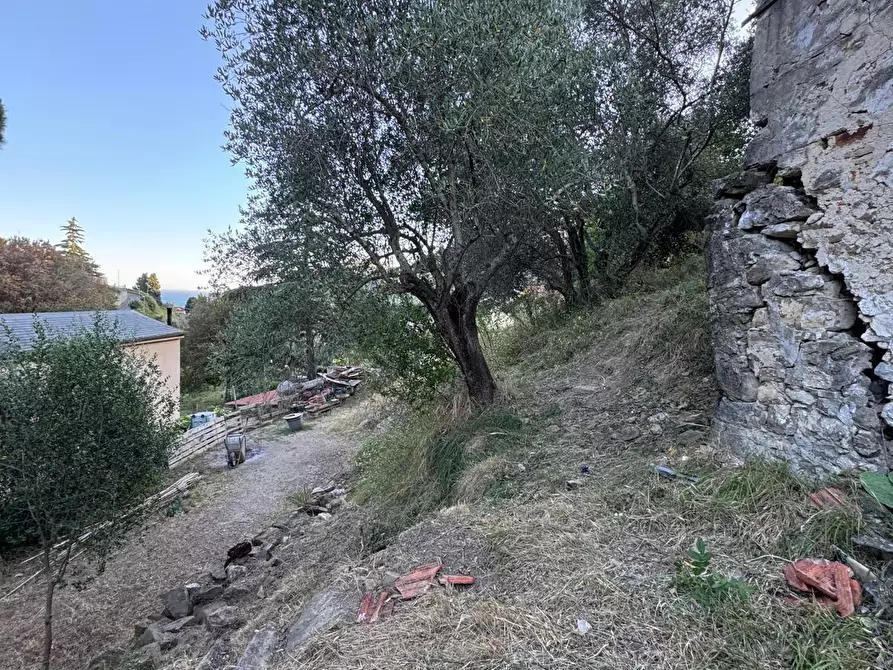 Immagine 60 di Rustico / casale in vendita  in Via Val D'Olivi 185 a San Remo