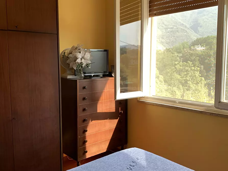 Immagine 18 di Rustico / casale in vendita  a Camaiore