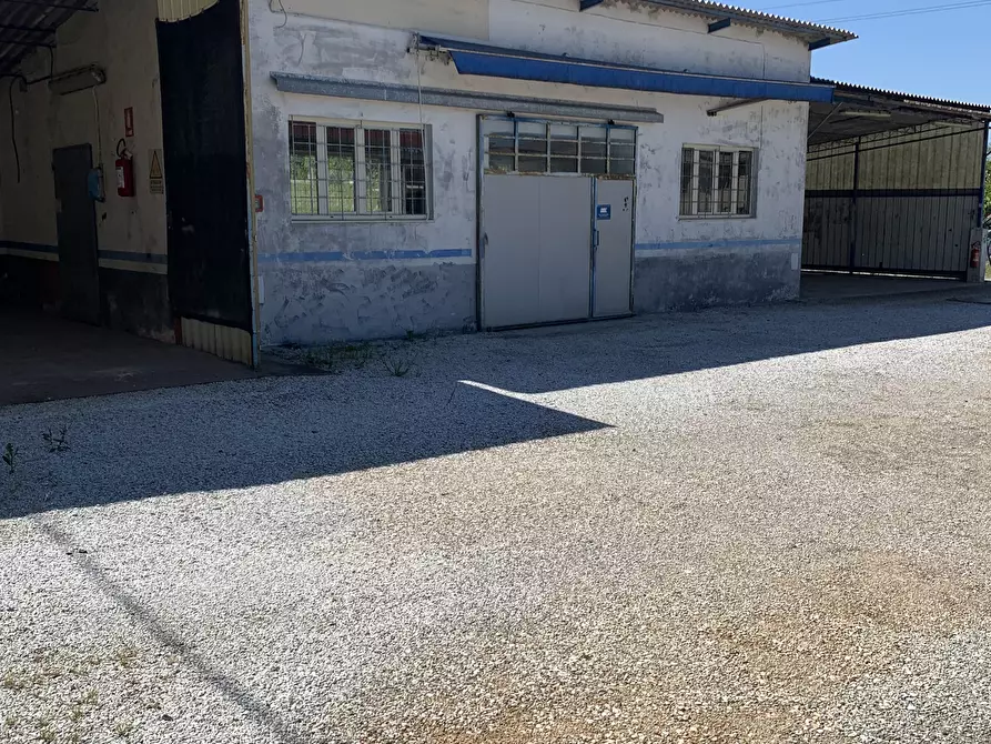 Immagine 1 di Attività artigianale in affitto  a Pietrasanta