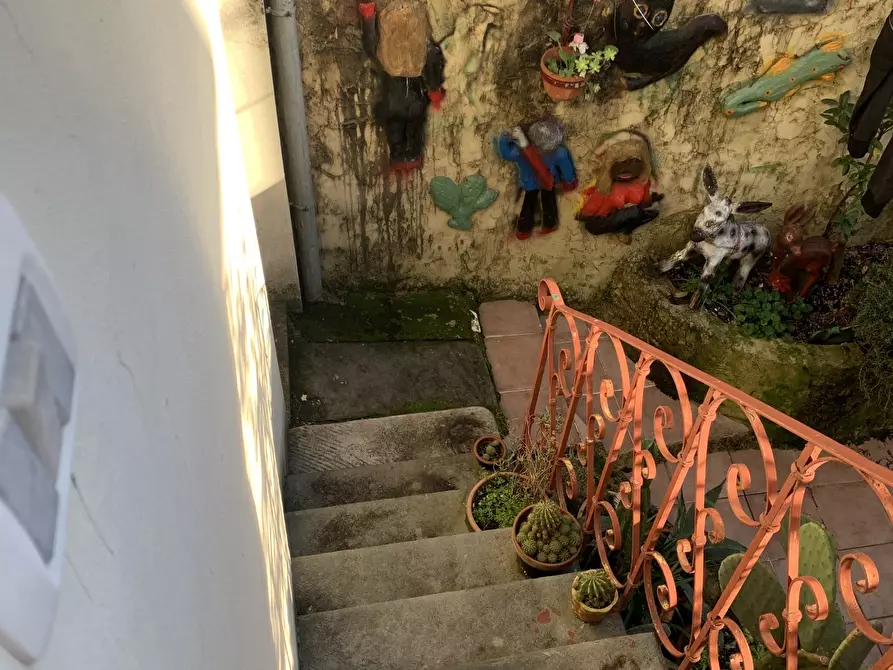 Immagine 20 di Terratetto in vendita  a Camaiore