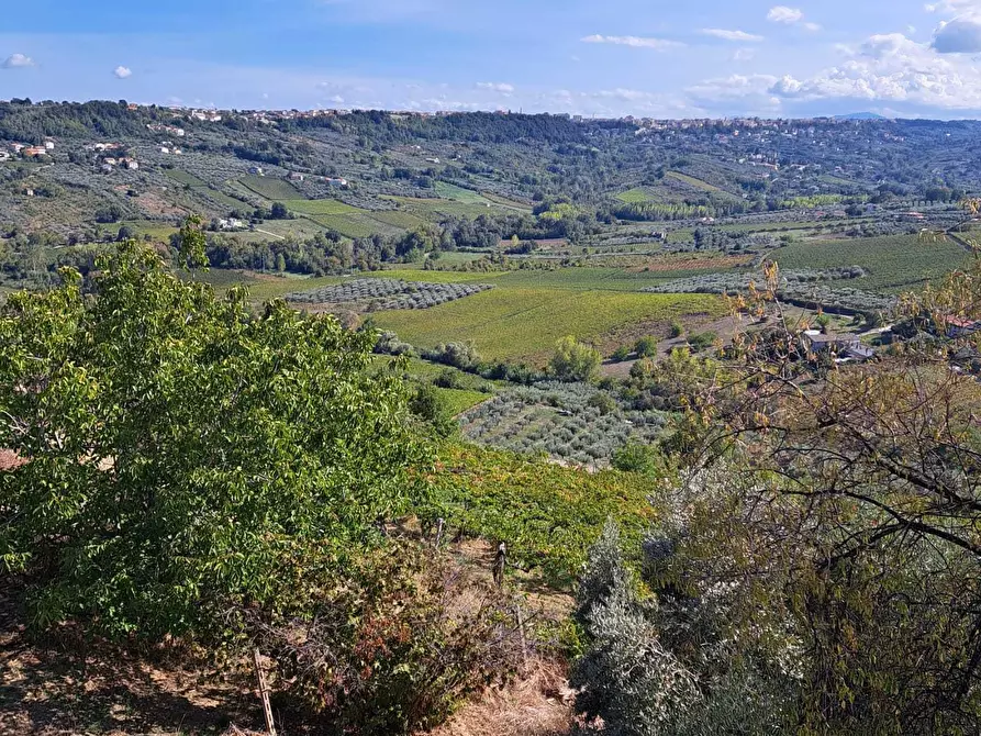 Immagine 65 di Casa indipendente in vendita  in COLLE DELLA FONTE 94 a Frisa