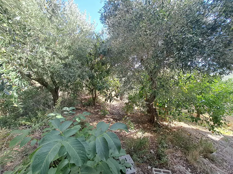 Immagine 56 di Casa indipendente in vendita  in COLLE DELLA FONTE 94 a Frisa