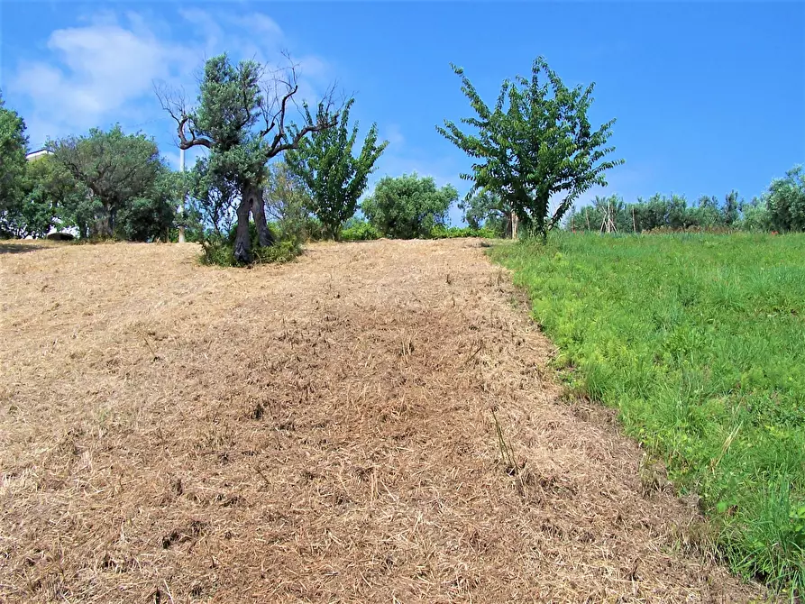 Immagine 7 di Terreno industriale in vendita  in contrada puglianna a Treglio