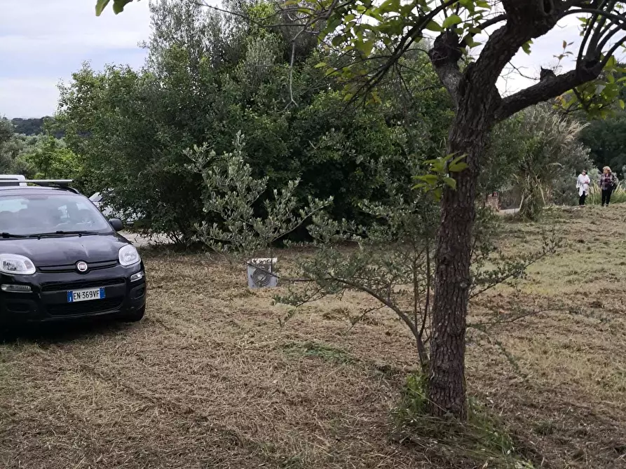 Immagine 8 di Terreno edificabile in vendita  in Via Puglianna a Treglio