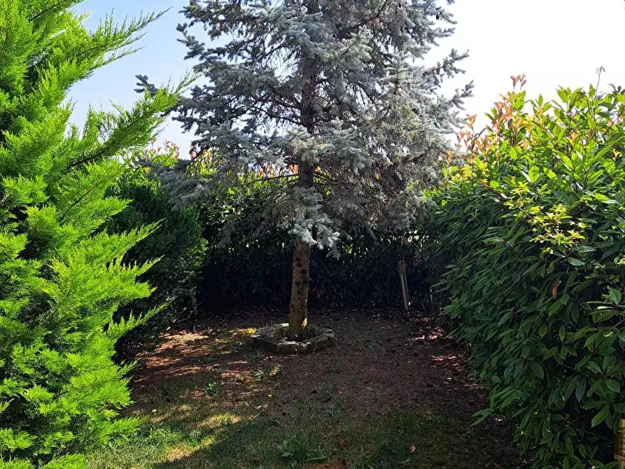 Immagine 13 di Villa in vendita  in villa andreoli a Lanciano