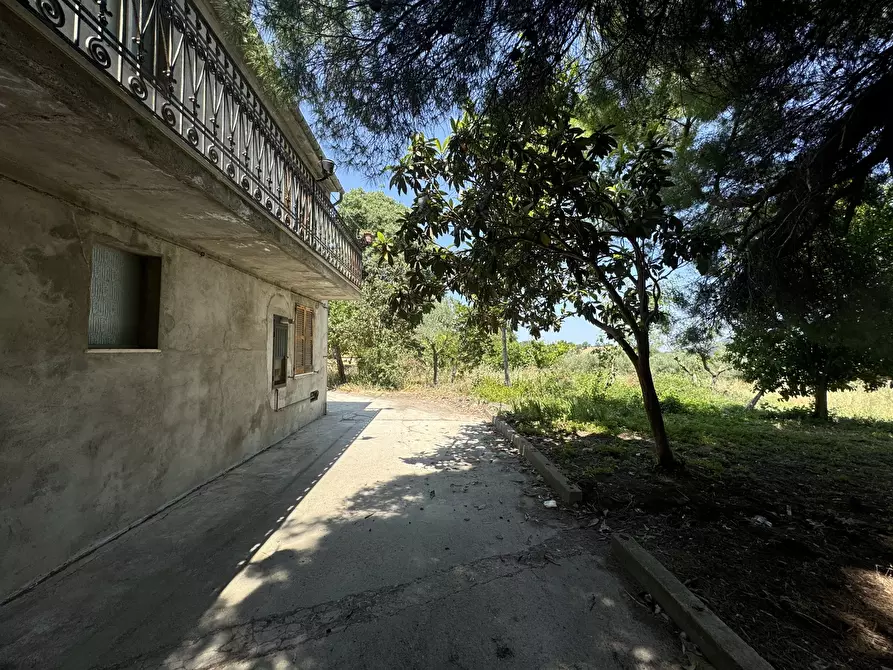 Immagine 48 di Casa semindipendente in vendita  in Via Lascianna 9 a Roccascalegna