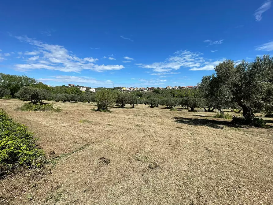 Immagine 19 di Casa indipendente in vendita  in contrada ranco 55 a Paglieta