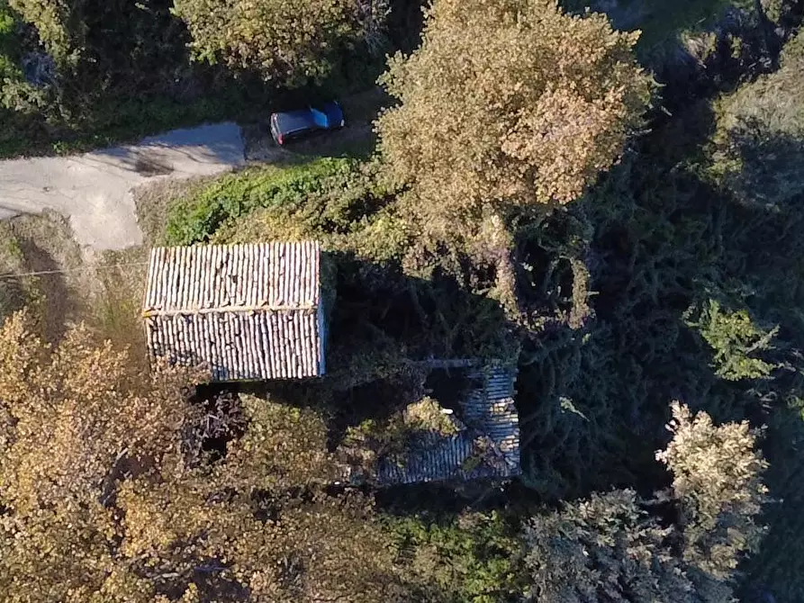 Immagine 26 di Casa indipendente in vendita  in contrada ranco 55 a Paglieta