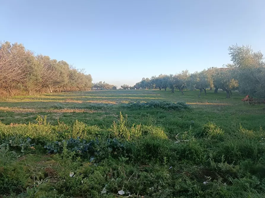 Immagine 1 di Terreno edificabile in vendita  in Contrada San Martino a Treglio