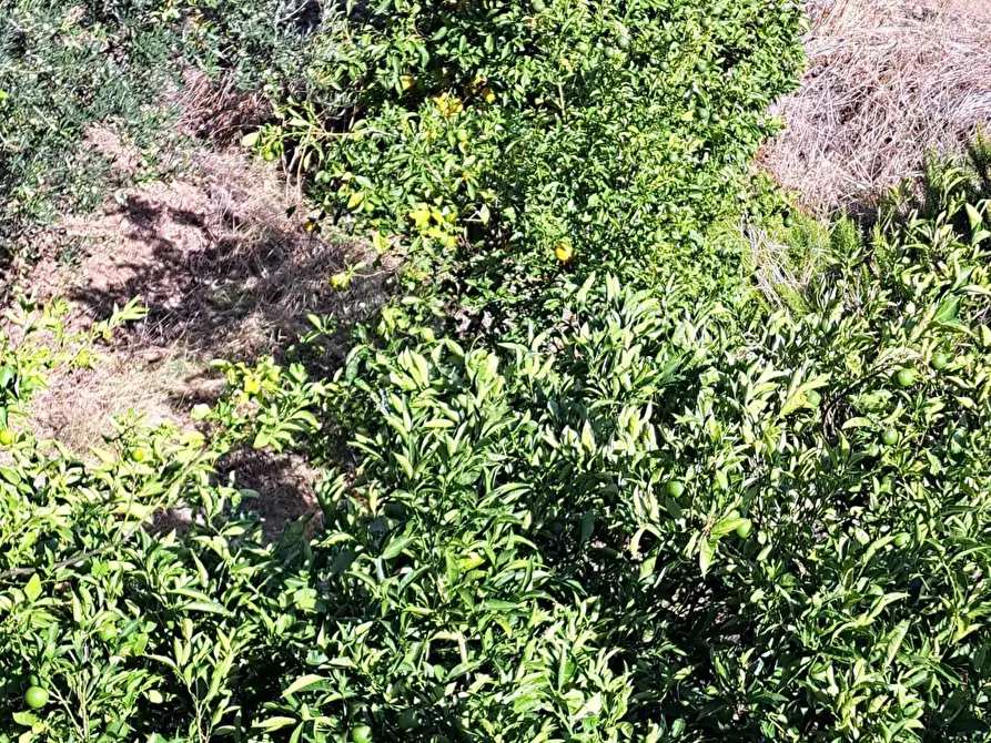 Immagine 63 di Casa indipendente in vendita  in COLLE DELLA FONTE 94 a Frisa