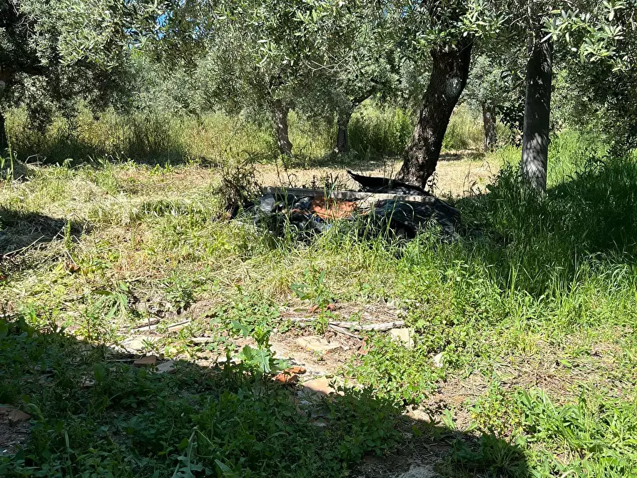 Immagine 4 di Terratetto in affitto  in Via Paolo Borsellino 51 a Frisa