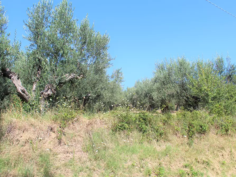 Immagine 14 di Terratetto in vendita  in Contrada Fontanelle 19 a Lanciano