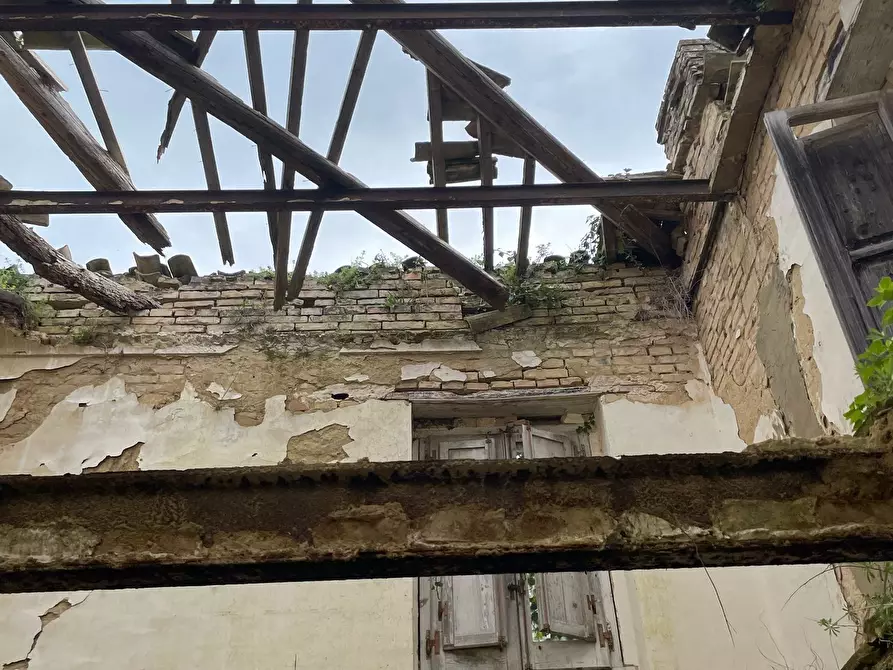 Immagine 51 di Rustico / casale in vendita  in C.DA CASTELLANA a Treglio