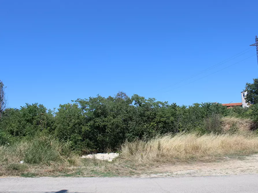 Immagine 4 di Terreno industriale in vendita  in C.DA MARCIANESE a Lanciano