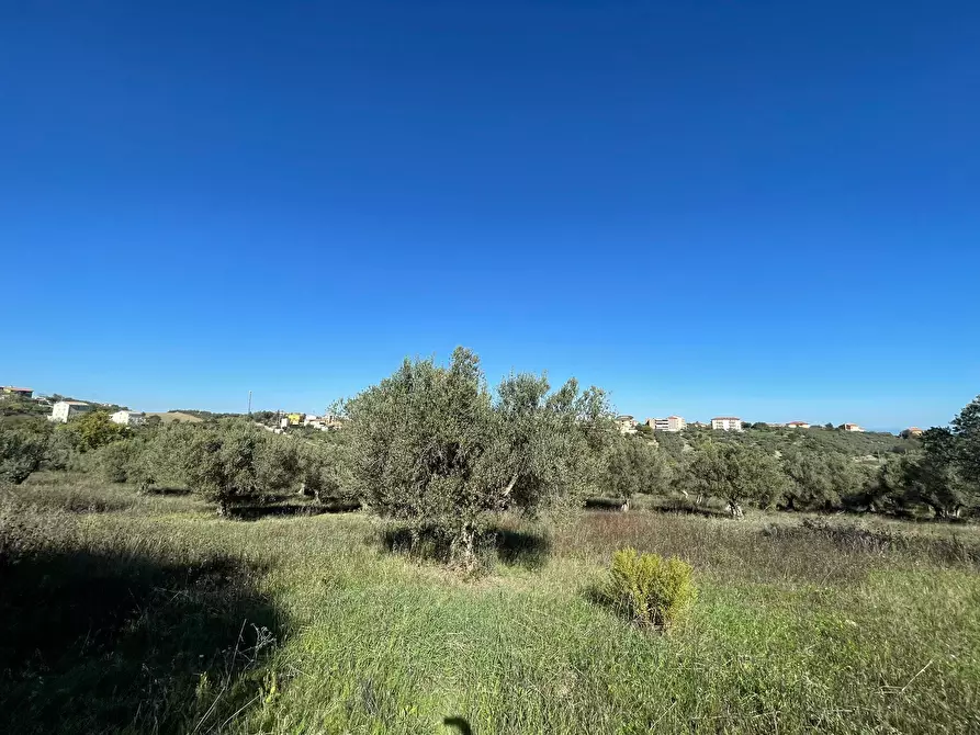 Immagine 7 di Casa indipendente in vendita  in contrada ranco 55 a Paglieta