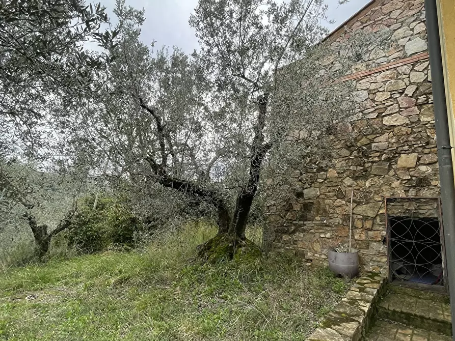 Immagine 29 di Rustico / casale in vendita  in Via della Sassetta a Castagneto Carducci