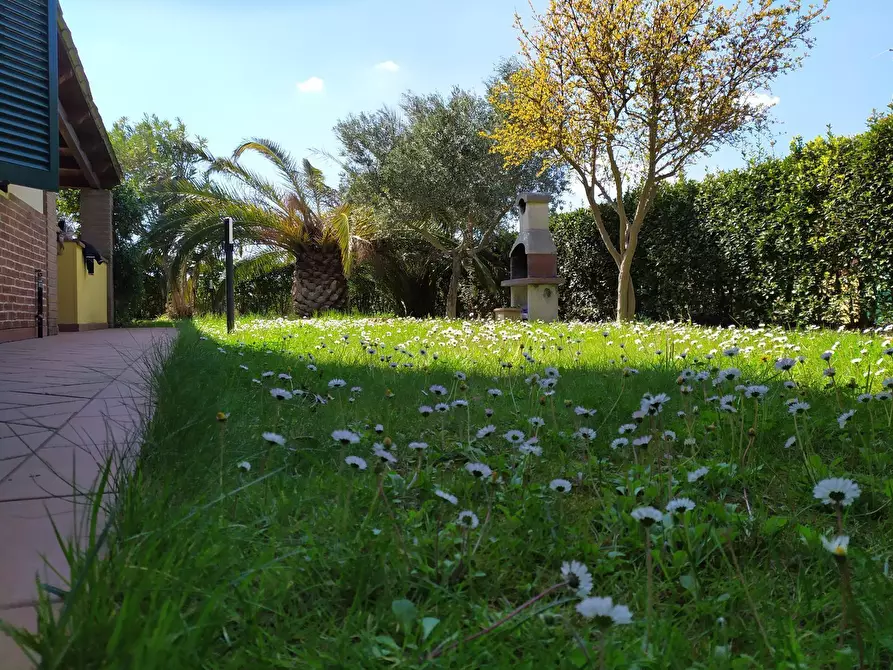 Immagine 2 di Casa indipendente in vendita  in Via Aurelia Sud a Cecina