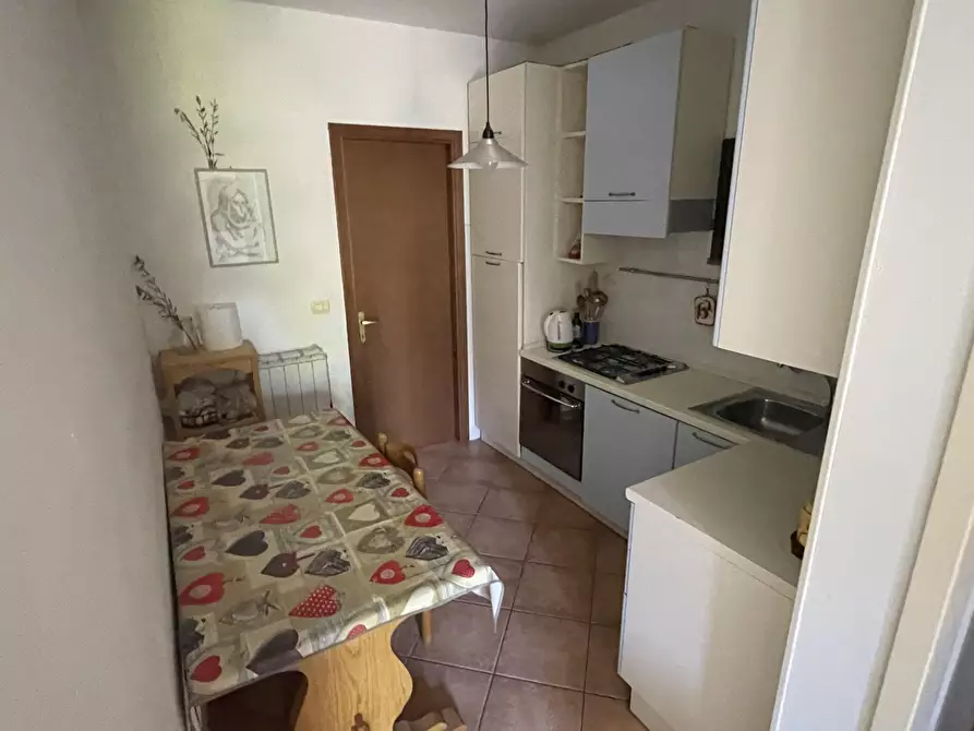 Immagine 6 di Casa indipendente in vendita  in Via dei Tre Comuni a Montescudaio