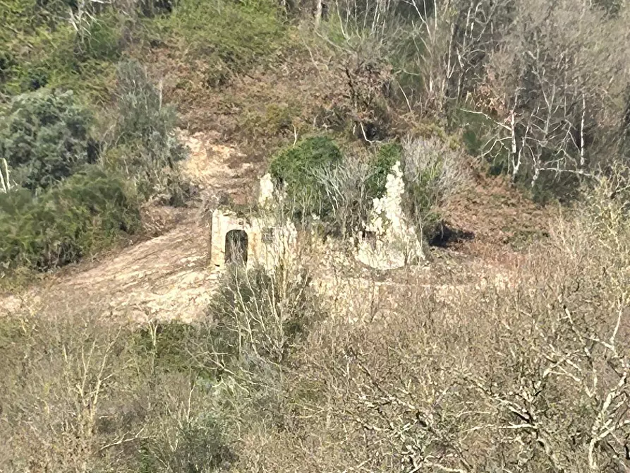 Immagine 12 di Palazzo in vendita  in via delle grotte a Morlupo