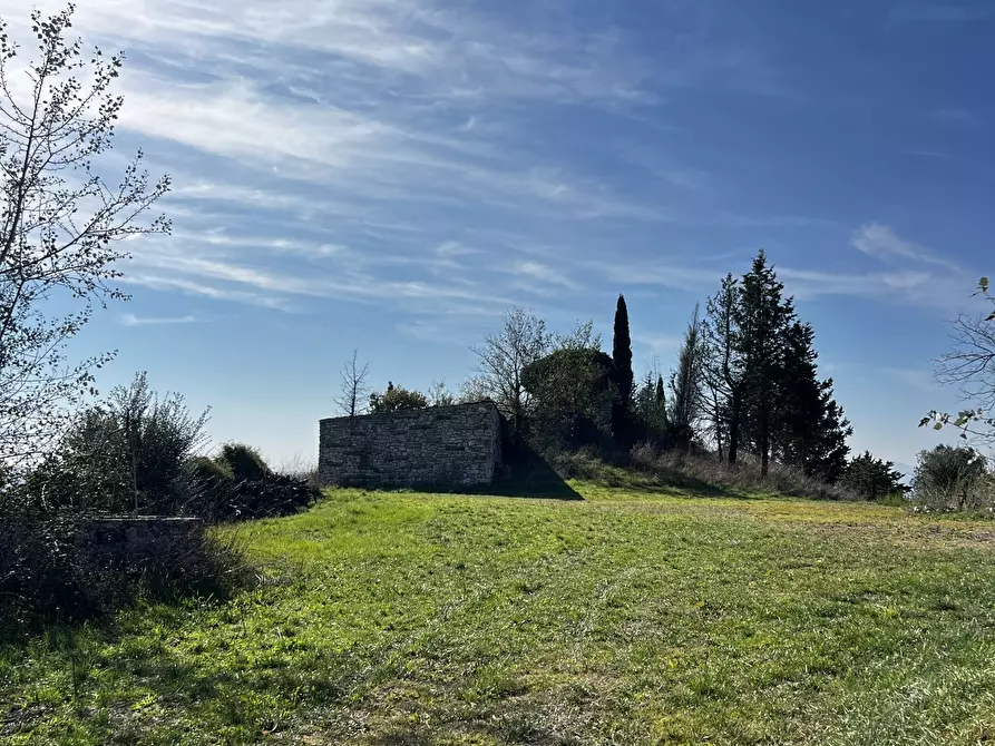 Immagine 84 di Rustico / casale in vendita  in Vocabolo Pupiglian 1 a Guardea