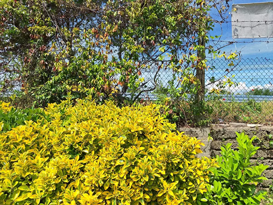 Immagine 19 di Trilocale in vendita  in Via Antonio Varisco 34 a Morlupo