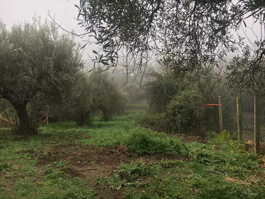 Immagine 7 di Terreno agricolo in vendita  in Via Monte Calcaro 51 a Sacrofano