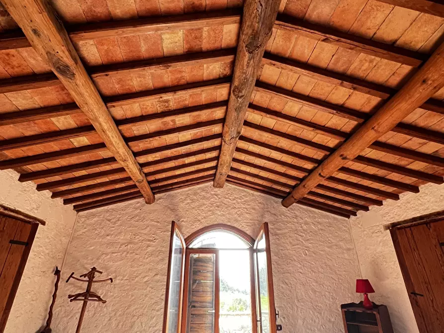 Immagine 22 di Rustico / casale in vendita  in Vocabolo Pupiglian 1 a Guardea