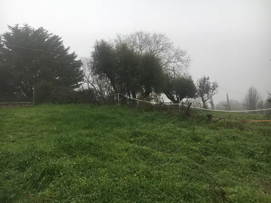 Immagine 6 di Terreno agricolo in vendita  in Via Monte Calcaro 51 a Sacrofano