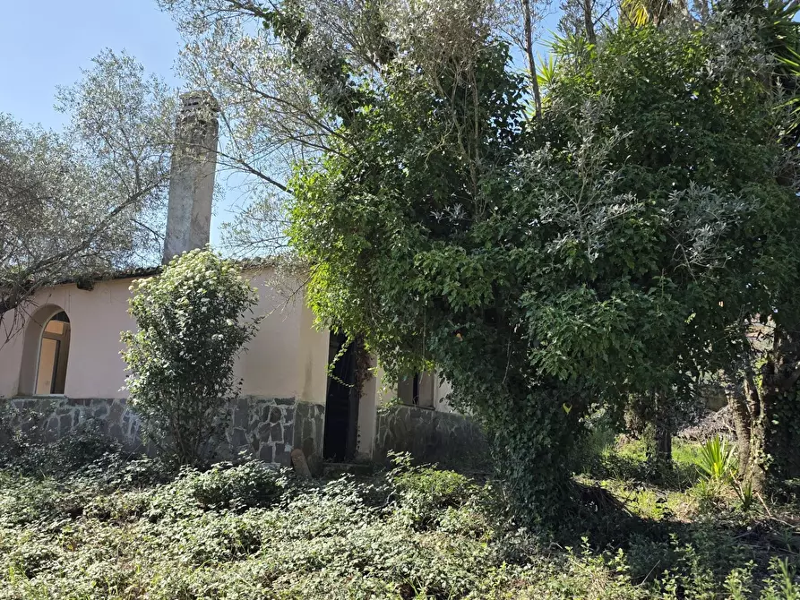 Immagine 29 di Rustico / casale in vendita  in Via Enrico Fermi 10 a Morlupo