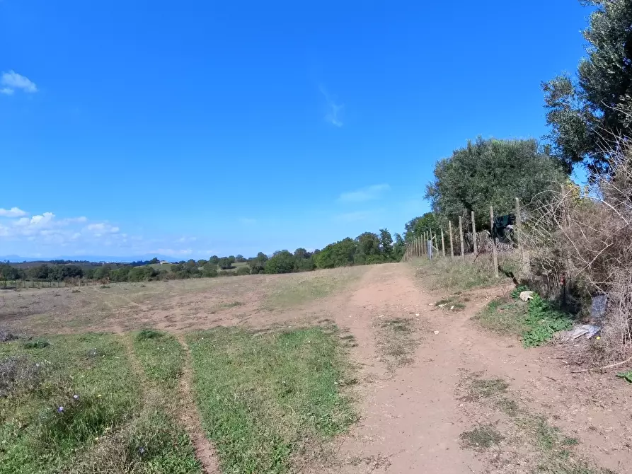 Immagine 33 di Villa in vendita  in Strada Comunale Campo Maggiore 10 a Rignano Flaminio
