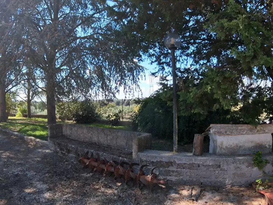 Immagine 20 di Villa in vendita  in Strada Comunale Campo Maggiore 10 a Rignano Flaminio