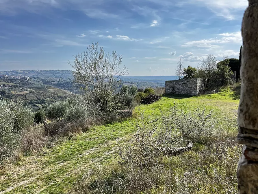 Immagine 92 di Rustico / casale in vendita  in Vocabolo Pupiglian 1 a Guardea