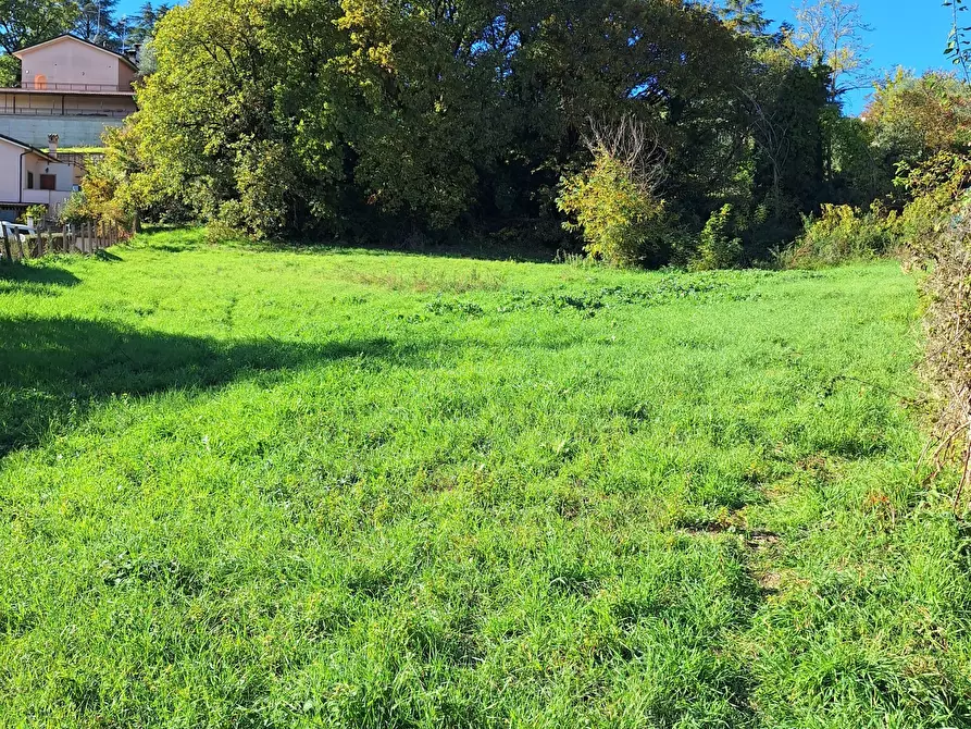 Immagine 1 di Capannone industriale in vendita  in Via dei gerani snc a Rignano Flaminio