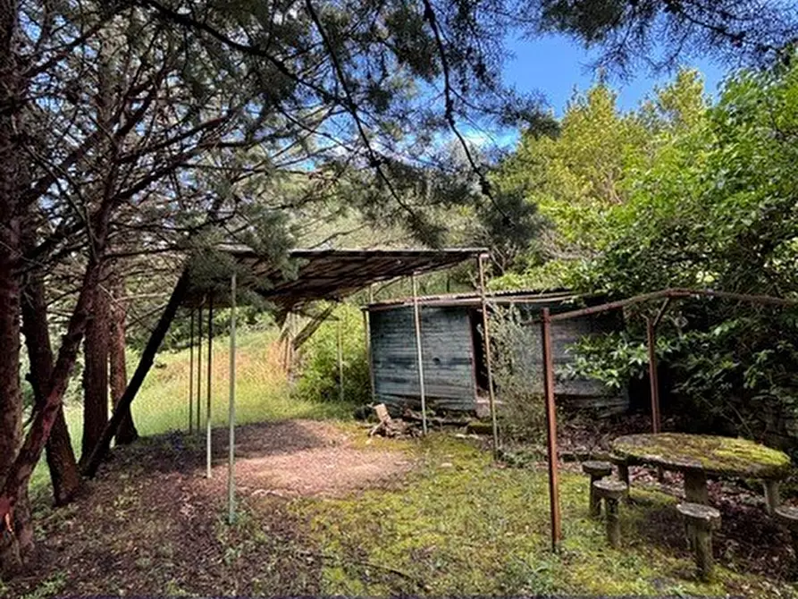 Immagine 1 di Terreno industriale in vendita  in Via degli Imberta a Londa