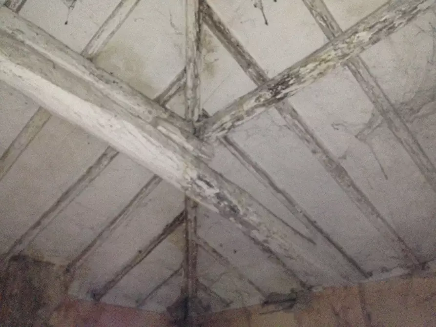 Immagine 18 di Rustico / casale in vendita  in Via Albaresa 850 a Crevalcore