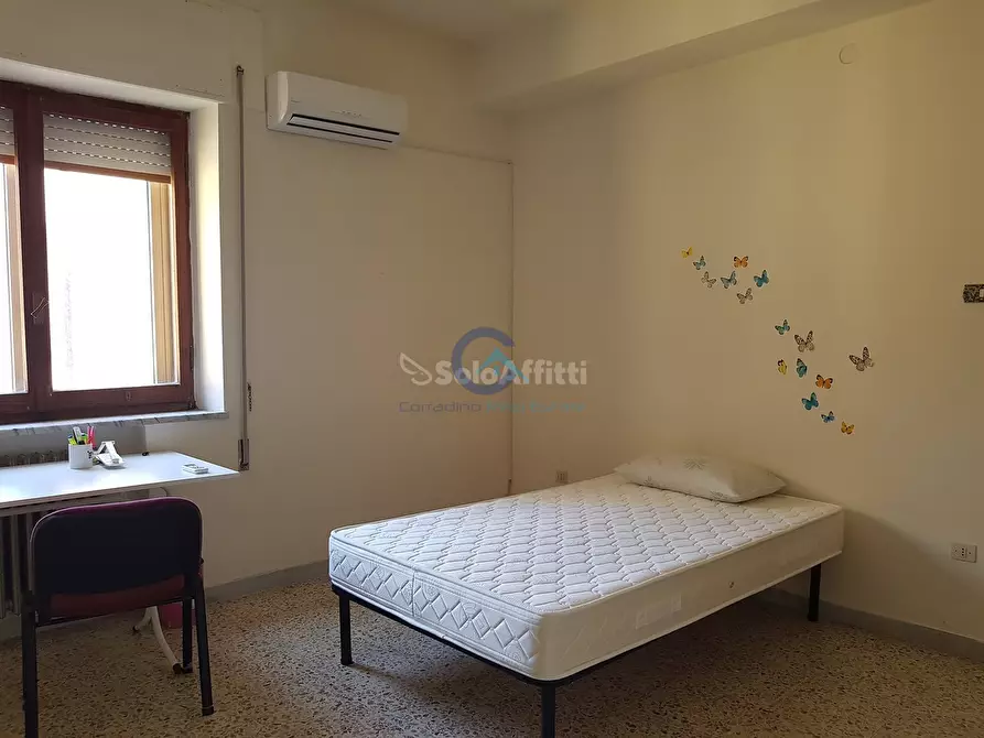 Immagine 7 di Quadrilocale in affitto  a Catanzaro