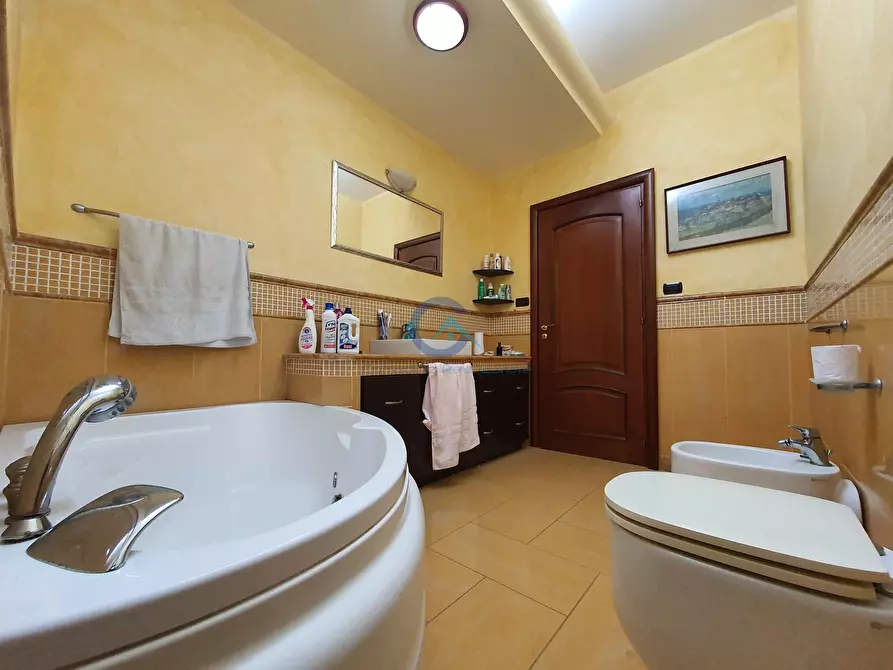 Immagine 12 di Trilocale in affitto  a Catanzaro