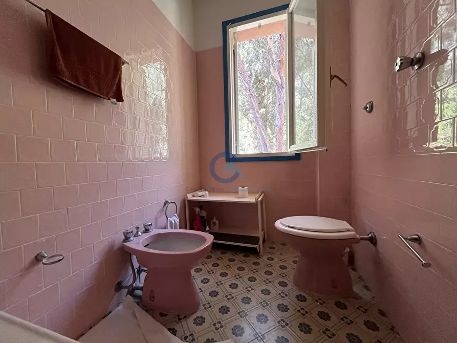 Immagine 10 di Attico in affitto  a Stalettì