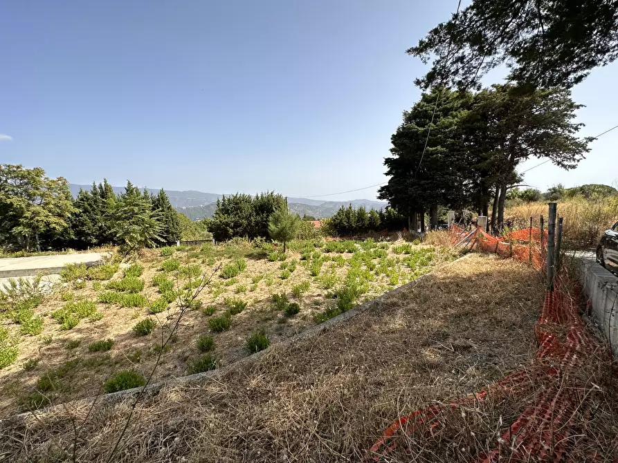 Immagine 2 di Terreno edificabile in vendita  a Catanzaro
