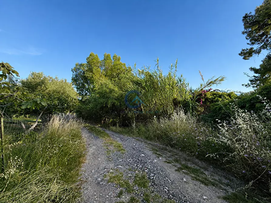 Immagine 5 di Terreno edificabile in vendita  in Contrada Costa degli Aranci 18 a Montauro