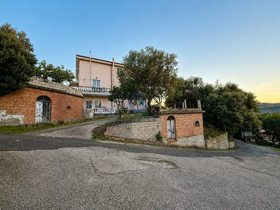 Immagine 9 di Appartamento in vendita  a Catanzaro