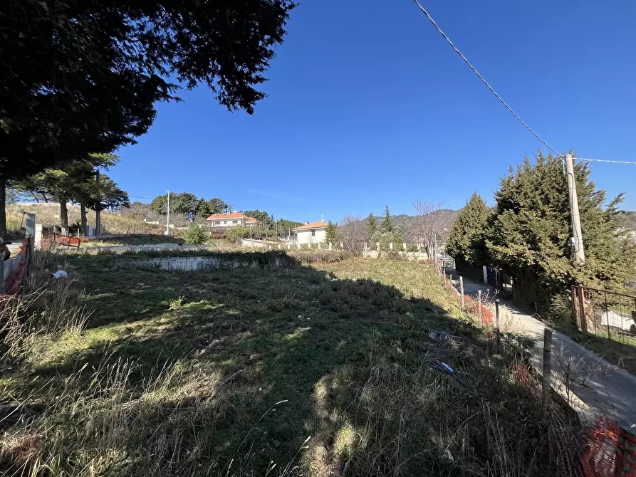 Immagine 3 di Terreno edificabile in vendita  a Catanzaro