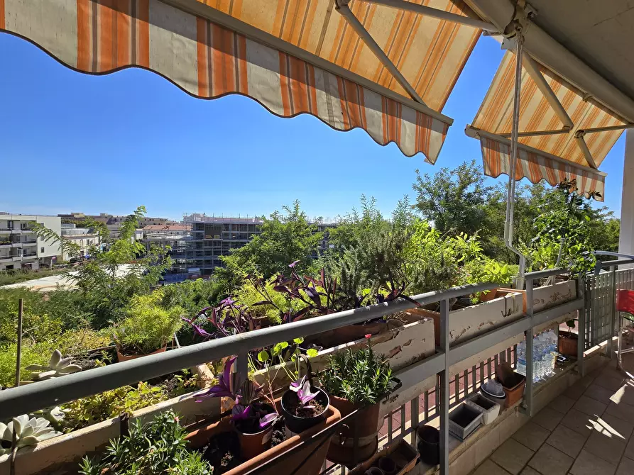 Immagine 32 di Trilocale in vendita  in VIA ROSARIO LIVATINO 3 a Nettuno