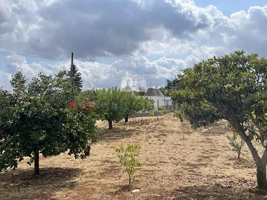 Immagine 21 di Baita in vendita  in Strada Provinciale 62 139 a Martina Franca