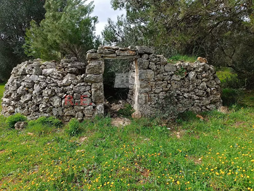 Immagine 7 di Baita in vendita  in strada provinciale 23 a Martina Franca
