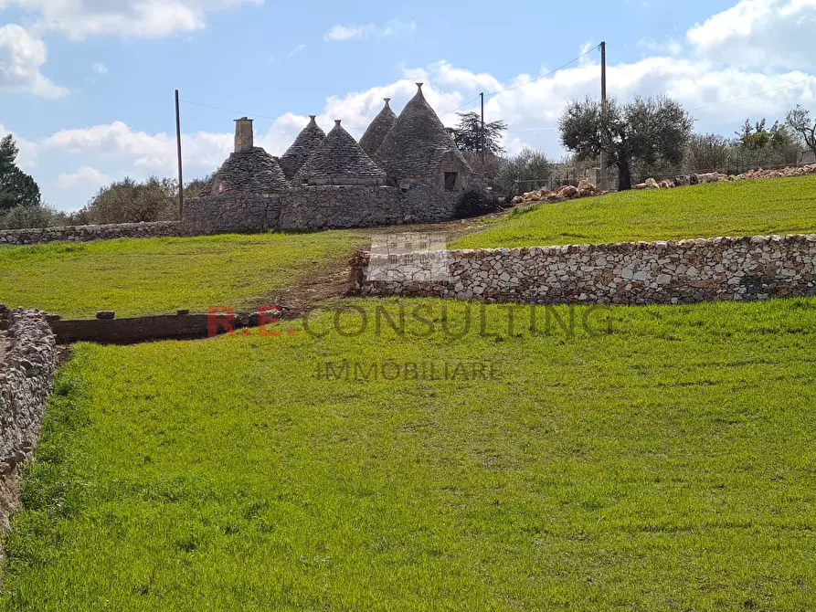Immagine 3 di Baita in vendita  in Strada Paretone Zona I 363 a Martina Franca