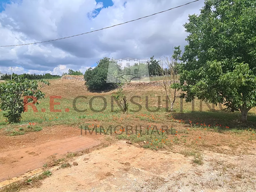 Immagine 6 di Baita in vendita  in Via Scattapignata 17 a Martina Franca